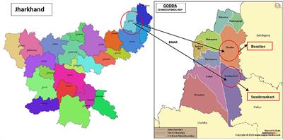 Leveraging Traditional Ecological Knowledge and Access to Nutrient-Rich Indigenous Foods to Help Achieve SDG 2: An Analysis of the Indigenous Foods of Sauria Paharias, a Vulnerable Tribal Community in Jharkhand, India